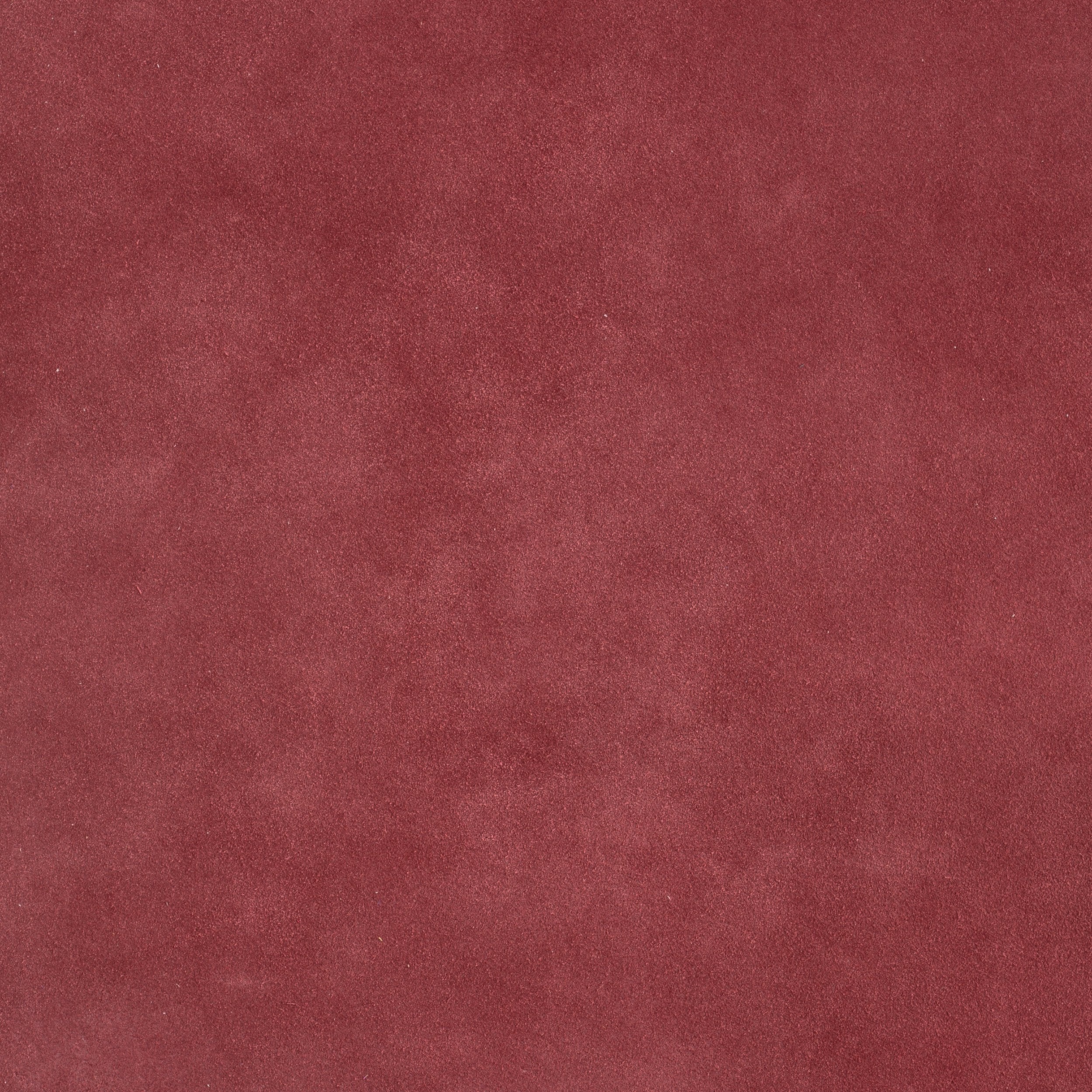 Thumbnail 35