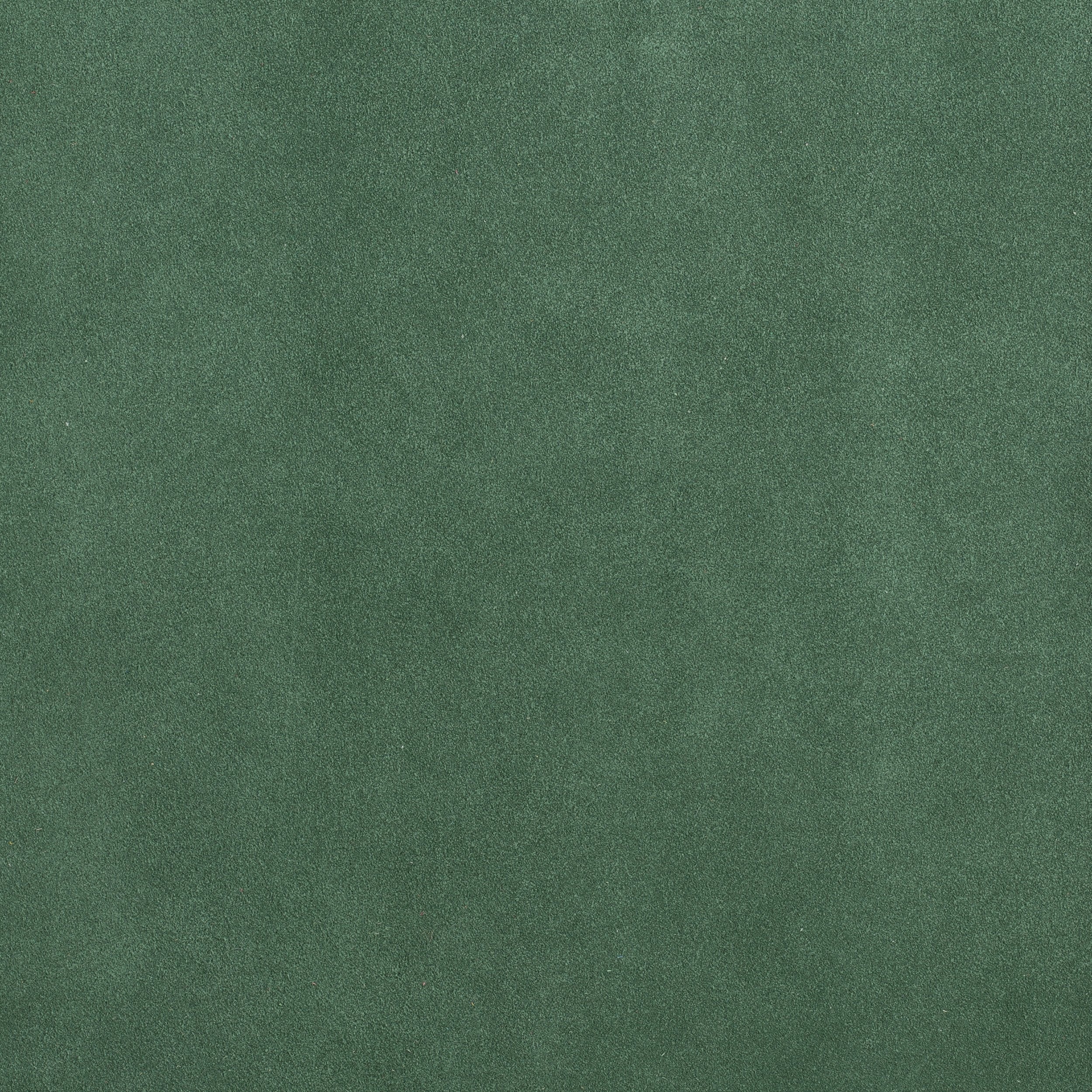 Thumbnail 41
